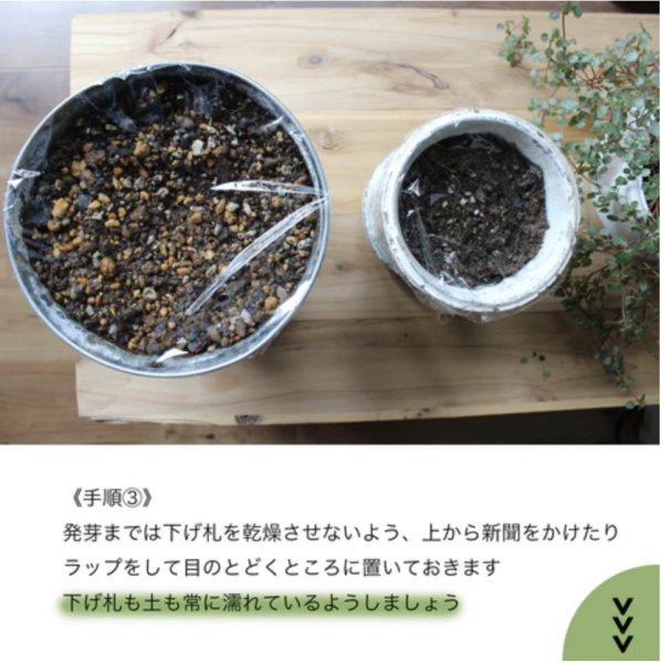 画像4: 下げ札について (4)