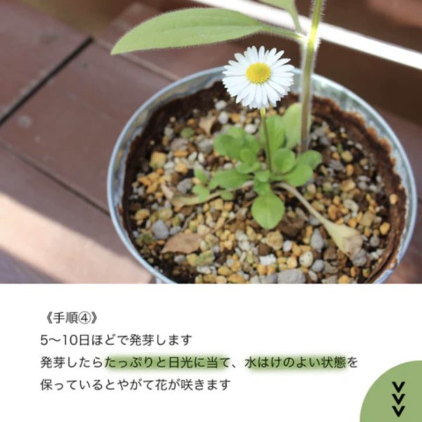 画像5: 下げ札について (5)